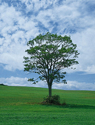 banner2